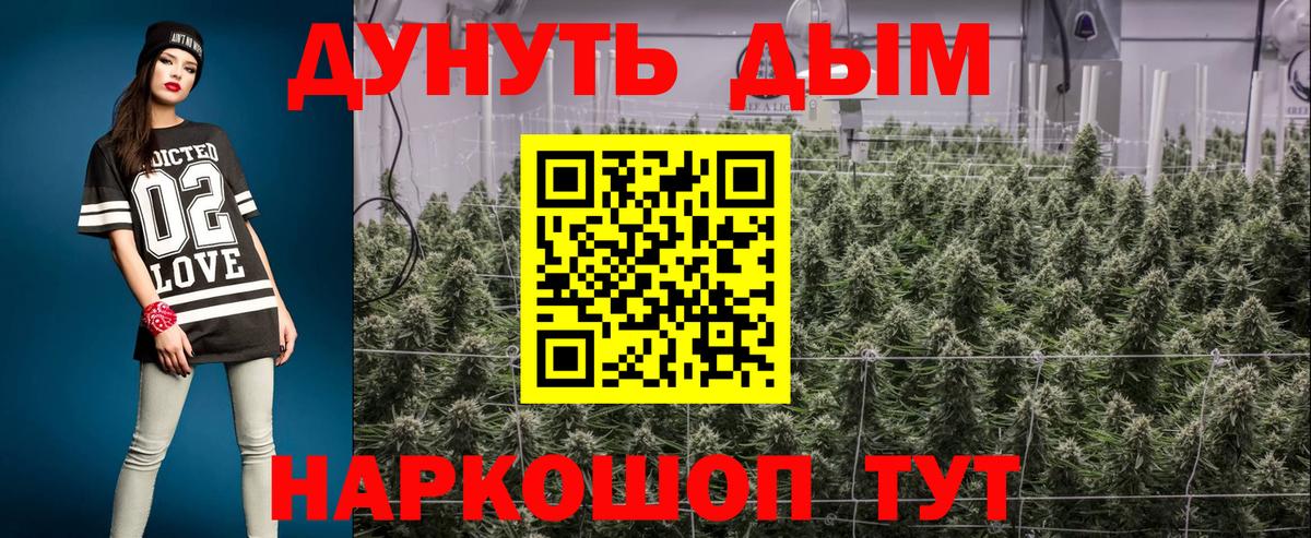 Новороссийск  МАРИХУАНА тримм  Каннабис OG Kush  Вход с VPN  МАРИХУАНА сатива  Каннабис ГИДРОПОН 